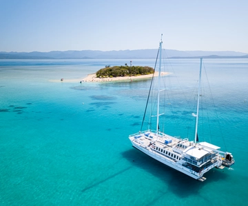 From Port Douglas: Low Isles Great Barrier Reef Sailing Tour