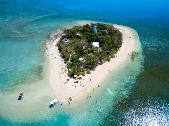 From Port Douglas Low Isles Great Barrier Reef Sailing Tour Getyourguide 