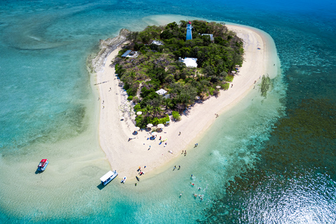 Från Port Douglas: Low Isles Great Barrier Reef Sailing Tour