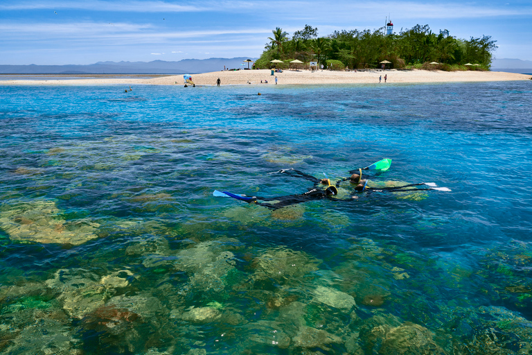 Vanuit Port Douglas: zeiltocht naar het Great Barrier Reef op de Lage EilandenVanuit Port Douglas: zeiltocht naar het Groot Barrièrerif van de Lage Eilanden