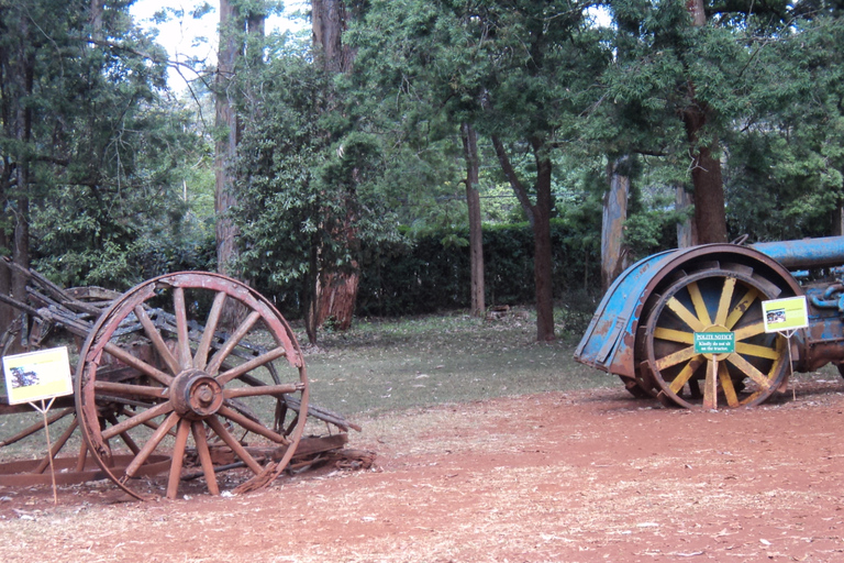 Visita al centro de jirafas y al museo Karen Blixen desde Nairobi