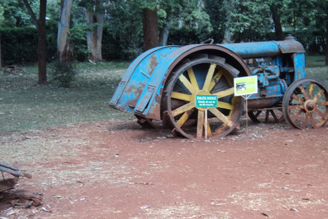 Giraffe Center i Karen Blixen Museum Tour z Nairobi