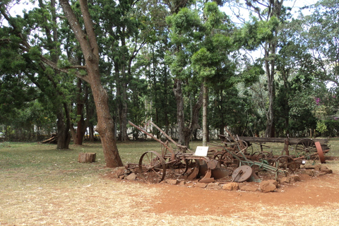 Visita al centro de jirafas y al museo Karen Blixen desde Nairobi