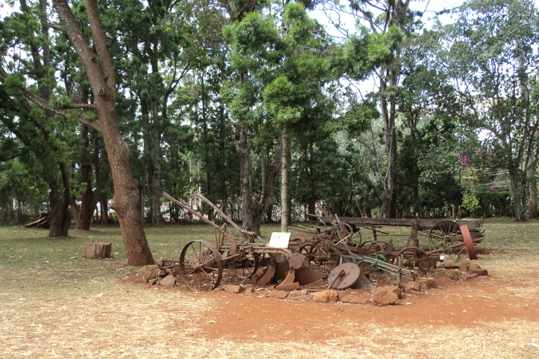 Giraffe Center i Karen Blixen Museum Tour z Nairobi