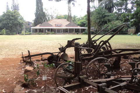 Visita al centro de jirafas y al museo Karen Blixen desde Nairobi