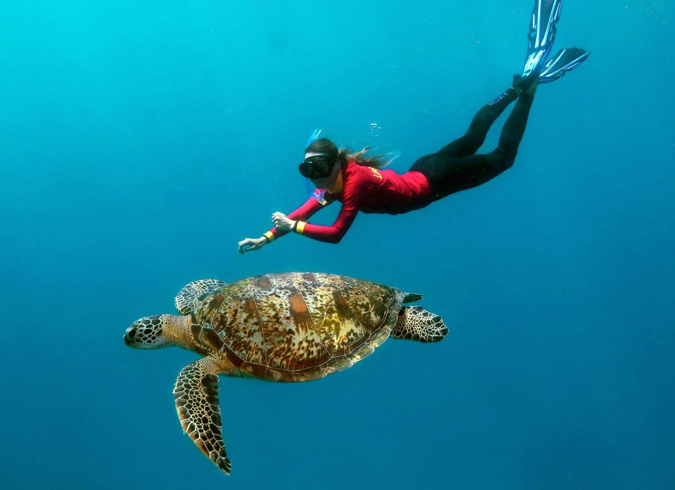 Port Douglas: Quicksilver Outer Barrier Reef heldagskrydstogt