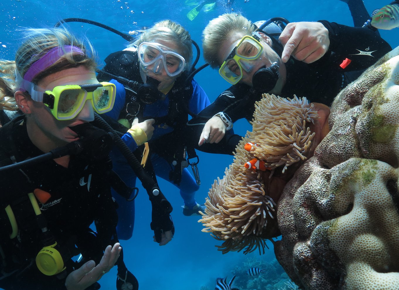 Port Douglas: Quicksilver Outer Barrier Reef heldagskrydstogt