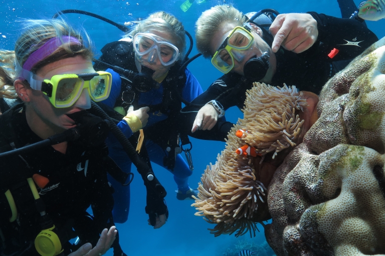 Quicksilver Outer Barrier Reef Full-Day Cruise