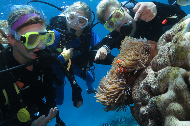 Port Douglas: Quicksilver Outer Barrier Reef Full-Day Cruise