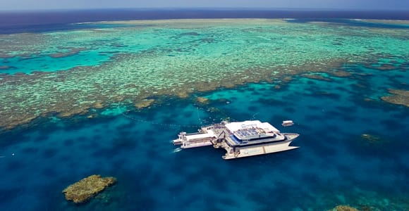 Port Douglas: Quicksilver Outer Barrier Reef Full-Day Cruise