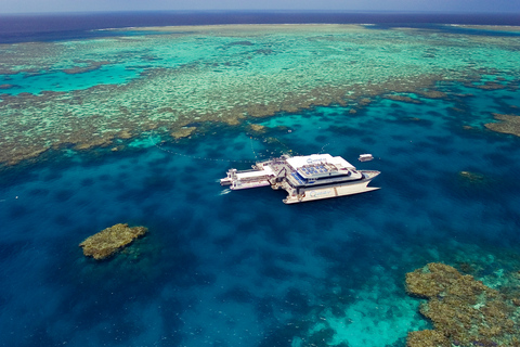 Croisière Quicksilver : cap vers la barrière de corailJournée croisière en Quicksilver sur la barrière de corail