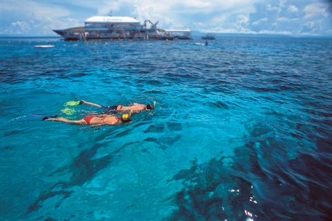 Croisière Quicksilver : cap vers la barrière de corailJournée croisière en Quicksilver sur la barrière de corail