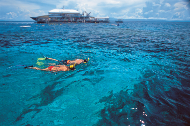 Port Douglas: Quicksilver Outer Barrier Reef Full-Day Cruise