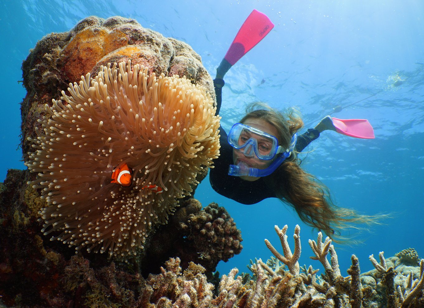 Port Douglas: Quicksilver Outer Barrier Reef heldagskrydstogt