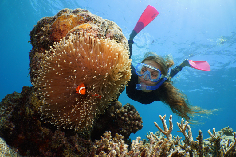 Port Douglas: Cruzeiro de um dia inteiro pelo Quicksilver Outer Barrier Reef