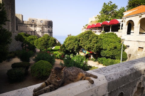 Visite privée de la vieille ville de Dubrovnik