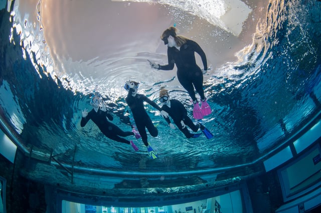 Dubai: snorkeling nella piscina più profonda del mondo di Deep Dive