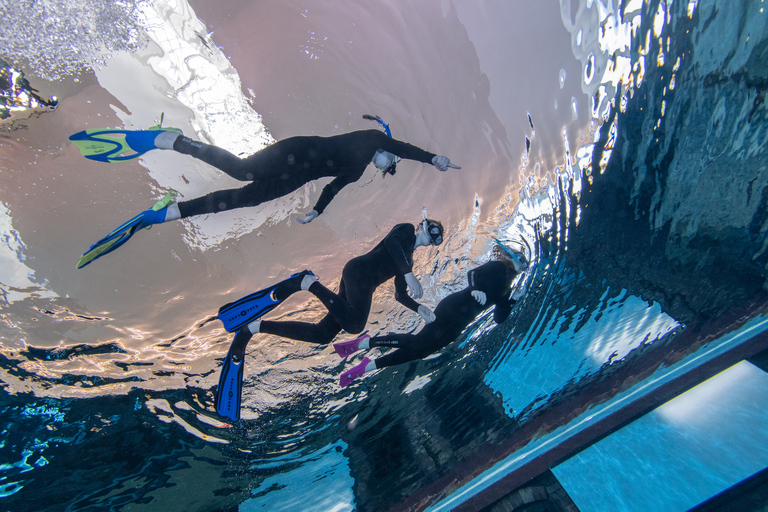 Dubai: snorkeling nella piscina più profonda del mondo di Deep DiveDubai: lezione di snorkeling al Deep Dive Dubai con istruttore