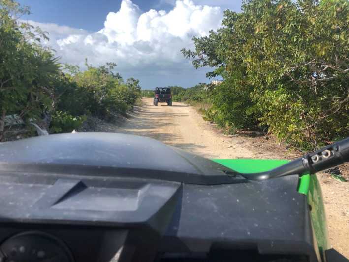 Providenciales: Guided Buggy Safari with Hotel Transfers