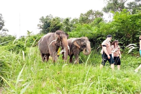 Phuket: Ethical Elephant Sanctuary Tour, Walk, and Lunch