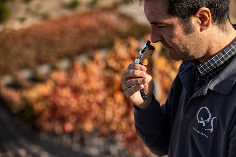 Esclusivo tour in cantina e degustazione nel Miglio d&#039;OroOpzione standard