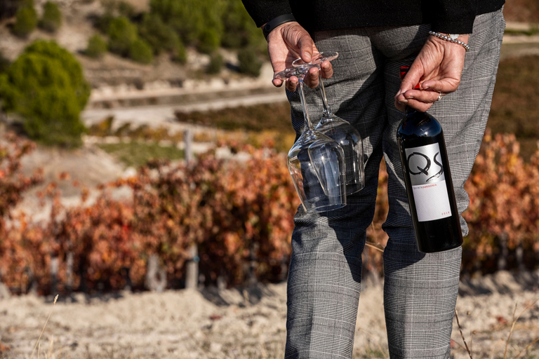 Patras: visita histórica a la bodega y degustaciónOpción estándar