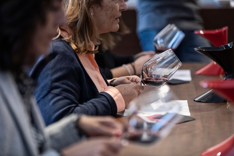 Patras: visite historique des vignobles et dégustationOption standard
