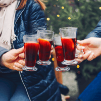 Lipsia, Mulled Wine Motorboat Tour - Hizvo