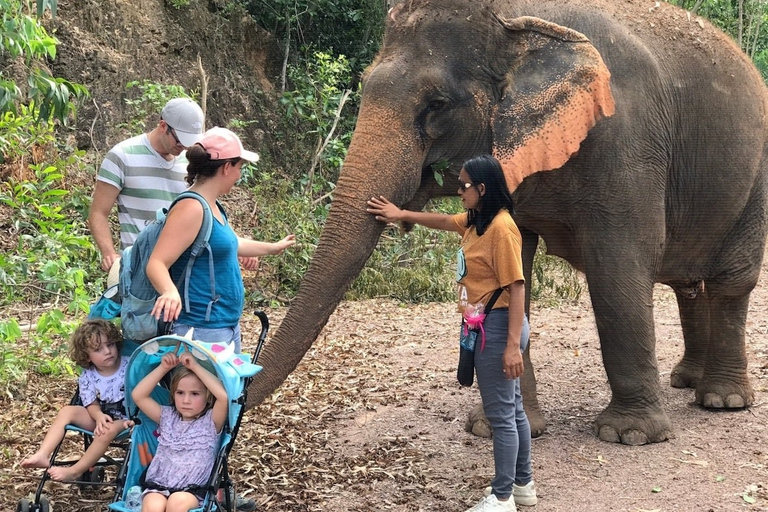 Pattaya: interactieve tour door ethische olifantenopvangTour met gedeeld vervoer (heen en terug)