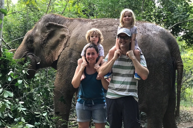 De Bangkok: Excursão ao Santuário de Elefantes de Pattaya