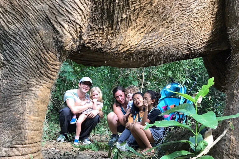 De Bangkok: Excursão ao Santuário de Elefantes de Pattaya