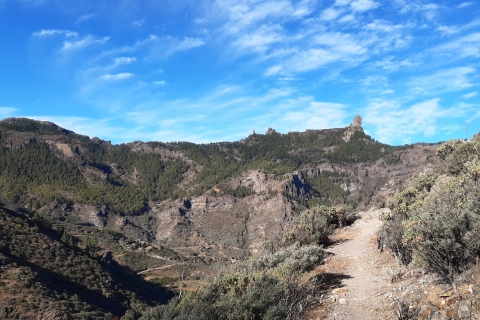 Gran Canaria: Route of the Week Hiking Tour Activity with Pick up in "Mogan" zone