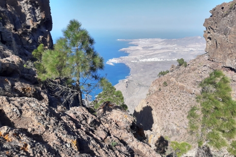 Gran Canaria : Circuit de randonnée de la semaineActivité avec ramassage dans la zone de "Mogan".