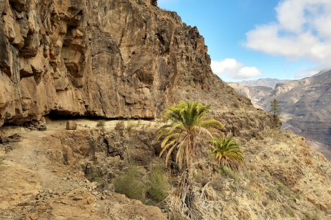 Gran Canaria: Route van de Week WandeltochtActiviteit met Pick-up in zone "Mogan".
