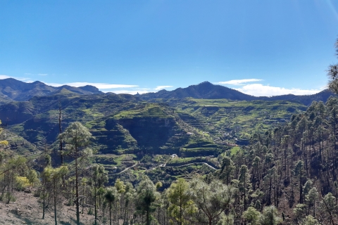 Gran Canaria: Route van de Week WandeltochtActiviteit met Pick-up in zone "Mogan".