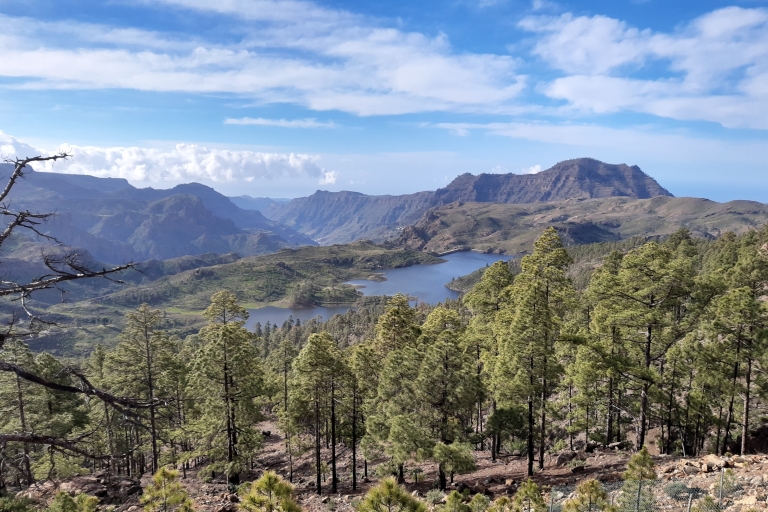 Gran Canaria: Route der Woche WandertourAktivität mit Abholung in der Zone "Maspalomas"