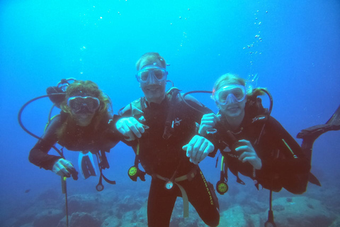 Mauricio: experiencia de buceo en la costa norte