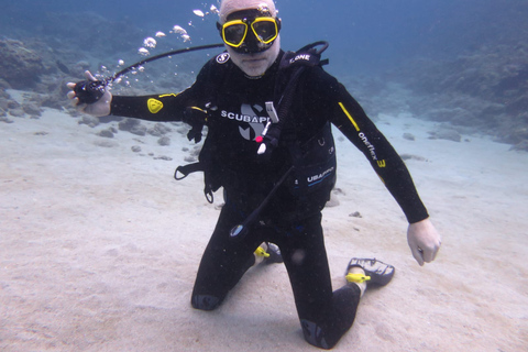 Mauritius: Gerätetauchen an der Nordküste