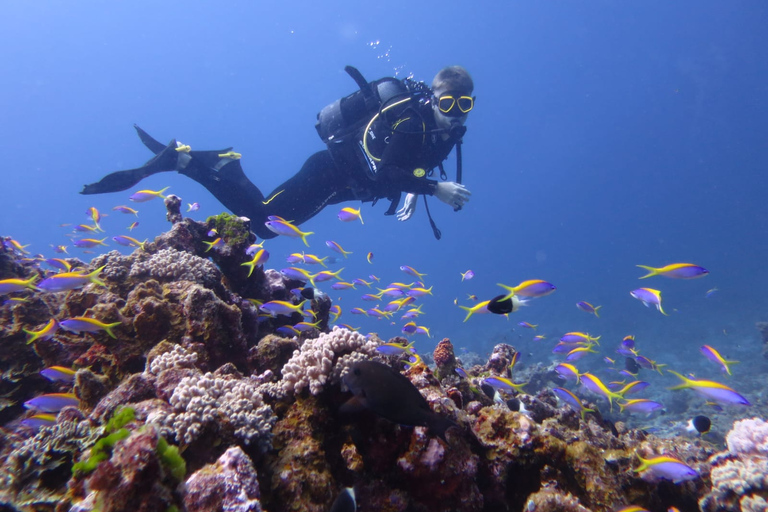 Blue Bay: Discover Scuba Diving