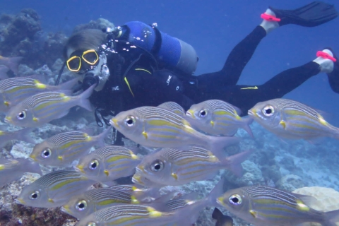 Padi: voortgezet onderwijs voor gevorderdenMauritius: PADI Advanced Open Water Diving-cursus