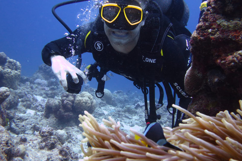 Padi: voortgezet onderwijs voor gevorderdenMauritius: PADI Advanced Open Water Diving-cursus