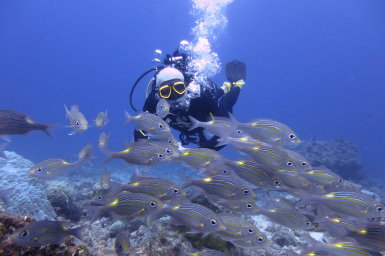 Padi: Advanced Continue Education Mauritius: PADI Advanced Open Water Diving Course