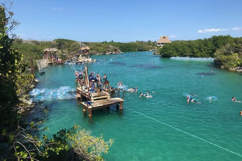 Quintana Roo: Xel-Ha Park Entry Ticket with Transportation