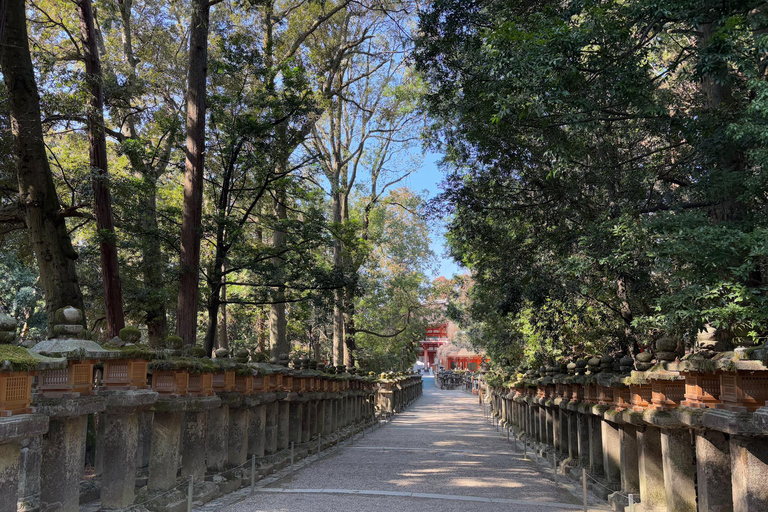 Private Nara Early Bird Tour from Kyoto