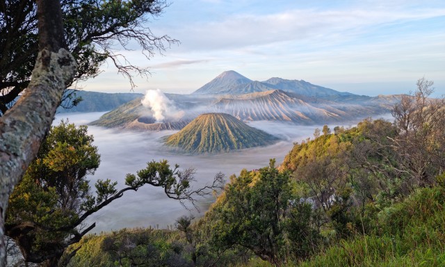 Visit Mount Bromo Sunrise Guided Tour with Optional Transfer in Bromo