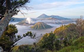 Mount Bromo: Sunrise Guided Tour with Optional Transfer