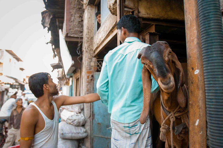 Dharavi Tour inklusive AutotransferDharavi: Lokales Kocherlebnis