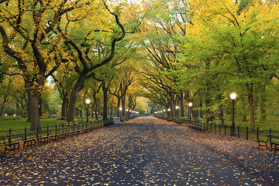 New York, City Highlights Self-Guided Audio Driving Tour - Hizvo
