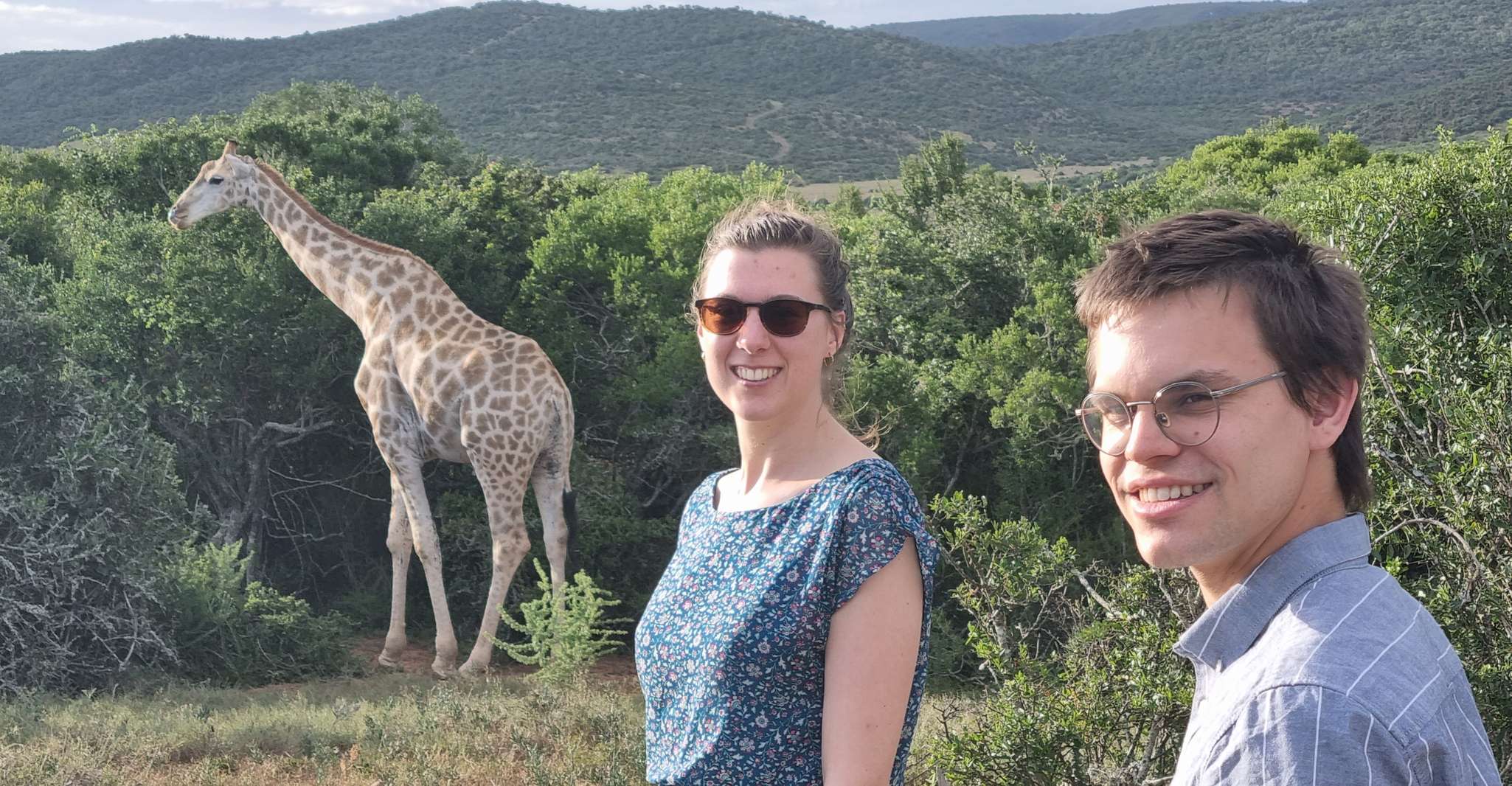 Addo Elephant Park y Jiraffe Walk Safari día completo privado - Hizvo