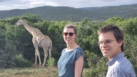 Addo Elephant Park y Jiraffe Walk Safari día completo privado - Hizvo